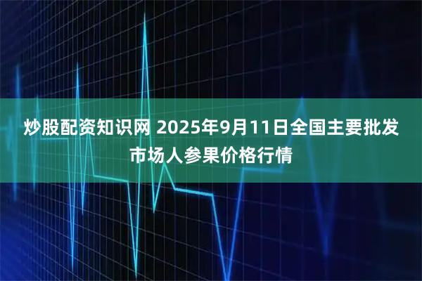 炒股配资知识网 2025年9月11日全国主要批发市场人参果价格行情