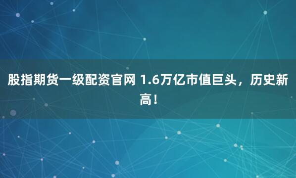 股指期货一级配资官网 1.6万亿市值巨头，历史新高！