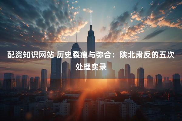 配资知识网站 历史裂痕与弥合：陕北肃反的五次处理实录